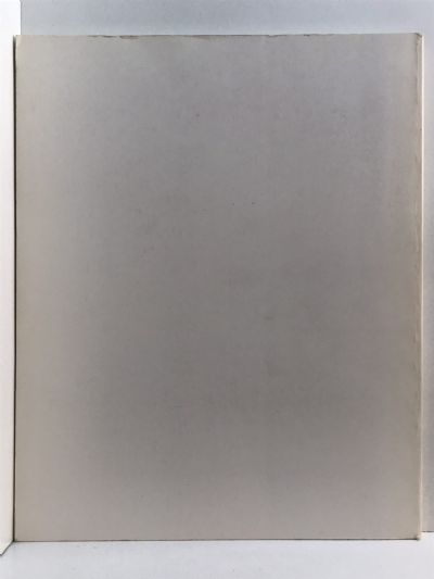 THE DEVELOPMENT OF AIR DOCTRINE IN THE ARMY AIR ARM 1917-1941