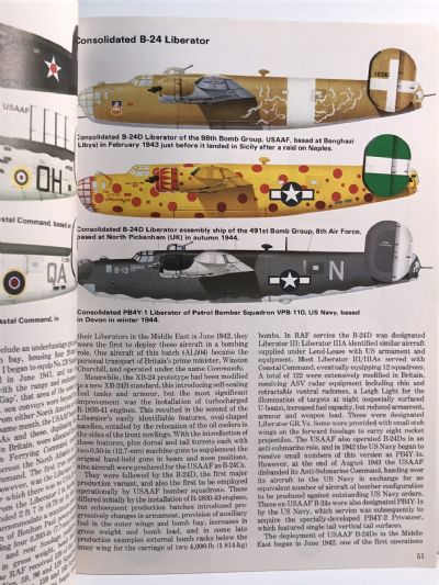 AMERICAN AIRCRAFT OF WORLD WAR II: The Hamlyn Concise Guide