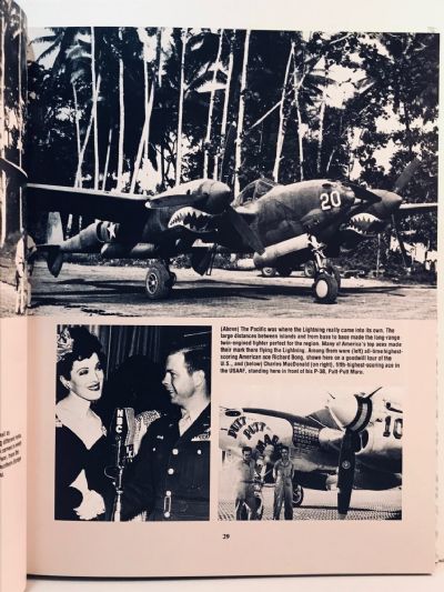 THE LOST SQUADRON: A True Story