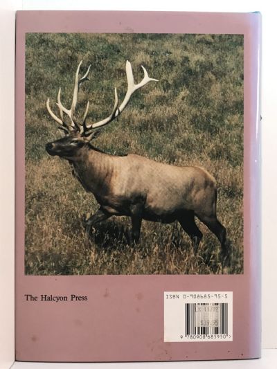 MR WAPITI