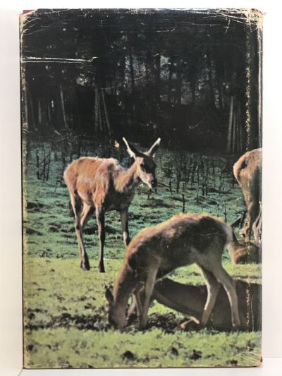 THE RED STAGS OF THE RAKAIA