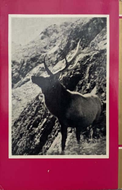 WAPITI in New Zealand