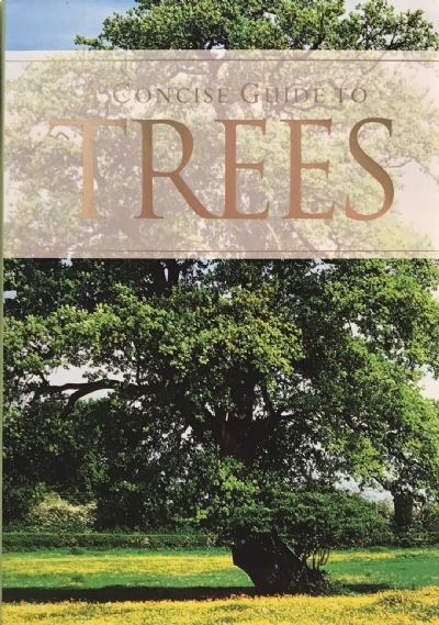 A CONCISE GUIDE TO TREES