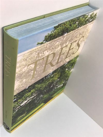 A CONCISE GUIDE TO TREES