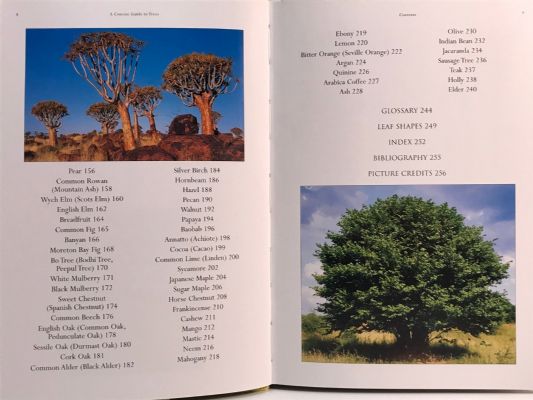 A CONCISE GUIDE TO TREES