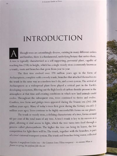 A CONCISE GUIDE TO TREES