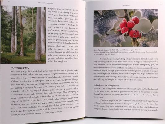 A CONCISE GUIDE TO TREES