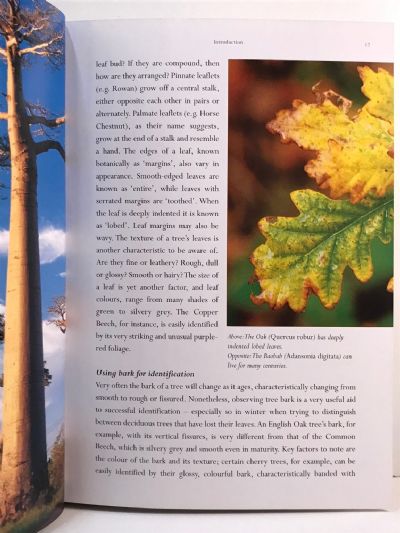 A CONCISE GUIDE TO TREES