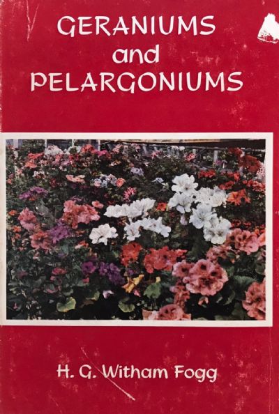 GERANIUMS AND PELARGONIUMS