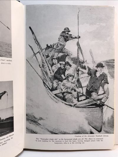 THE WHALING TRADE IN OLD NEW ZEALAND