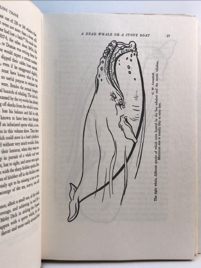 THE WHALING TRADE IN OLD NEW ZEALAND