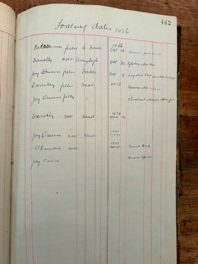 OLD FARM LEDGER BOOK 1925 - 1950s