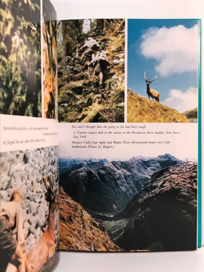 FIORDLAND MEMORIES: The New Zealand Wapiti Saga