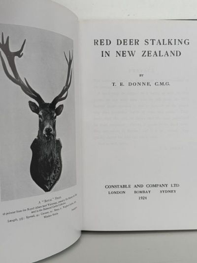 RED DEER STALKING IN NEW ZEALAND