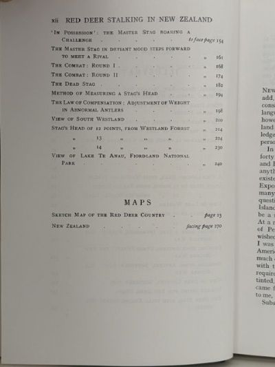 RED DEER STALKING IN NEW ZEALAND