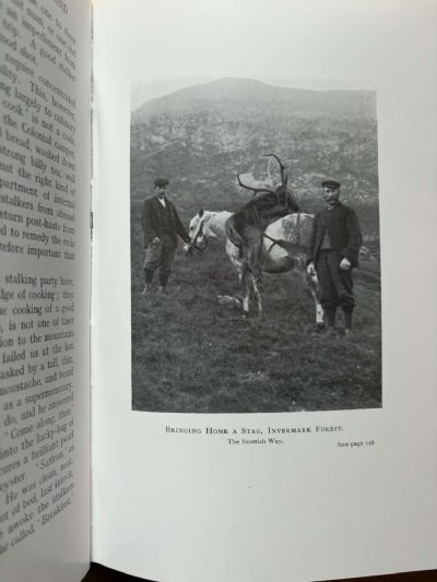 RED DEER STALKING IN NEW ZEALAND