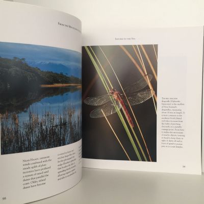 From the Mountains to the Sea : The Secret Life of New Zealad's Rivers and Wetlands