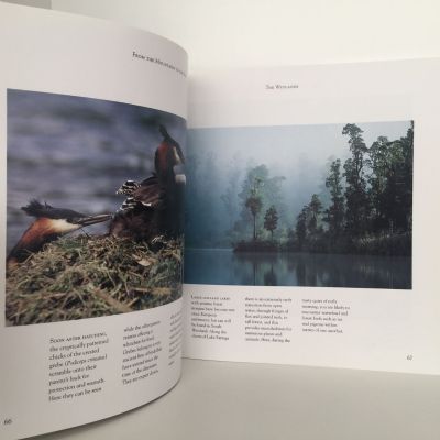 From the Mountains to the Sea : The Secret Life of New Zealad's Rivers and Wetlands