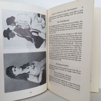 A Commentary on the Poems of Thomas Hardy
