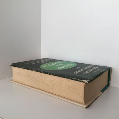 Princeton Encyclopedia of Poetry and Poetics