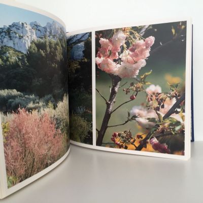 AN ENGLISH GARDEN IN PROVENCE
