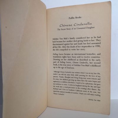 Chinese Cinderella : The Secret Story of an Unwanted Daughter