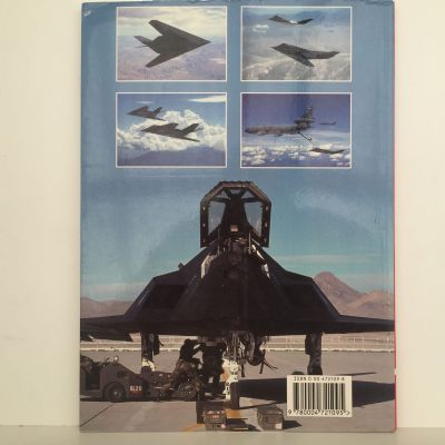 F-117 STEALTH FIGHTER: At The Controls