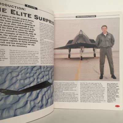 F-117 STEALTH FIGHTER: At The Controls