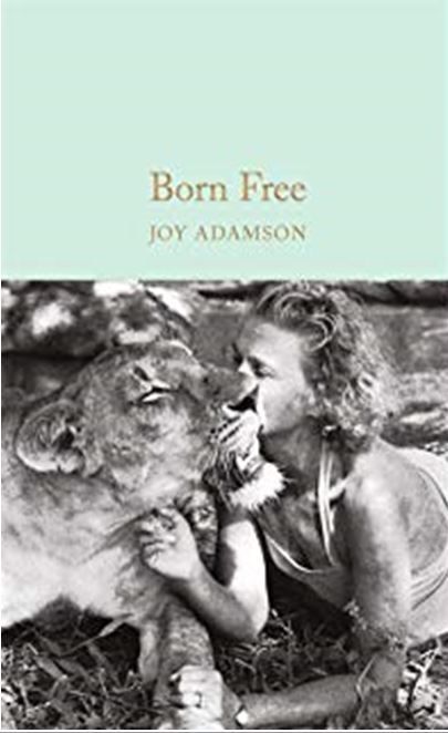 Born Free : A Lioness of Two Worlds