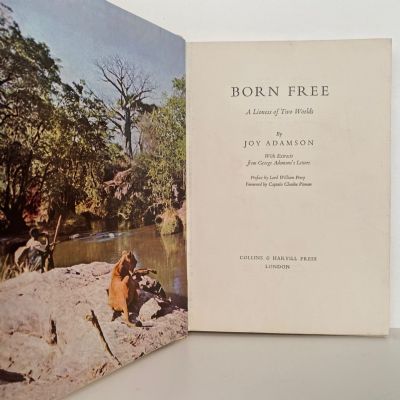 Born Free : A Lioness of Two Worlds