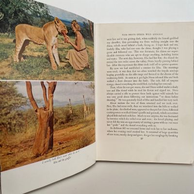 Born Free : A Lioness of Two Worlds