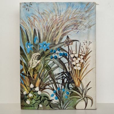 Flora of New Zealand : 3 volumes
