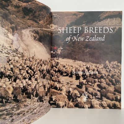 Sheep Breeds of New Zealand