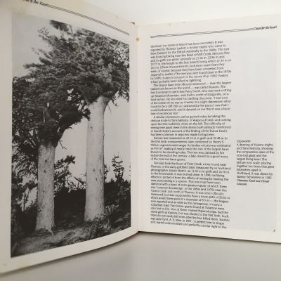 THE WORLD OF THE KAURI