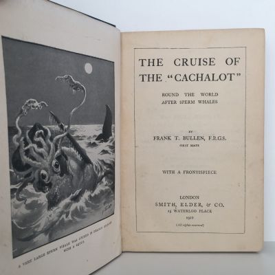 THE CRUISE OF THE CACHALOT: Round the world after Sperm Whales