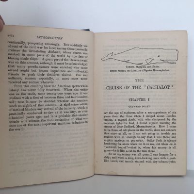 THE CRUISE OF THE CACHALOT: Round the world after Sperm Whales