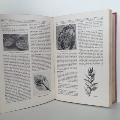 The Gardener's Golden Treasury 