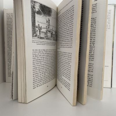 The Illustrated Pepys: From the Diary selected and edited