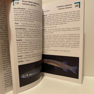Freshwater Fishes of New Zealand 