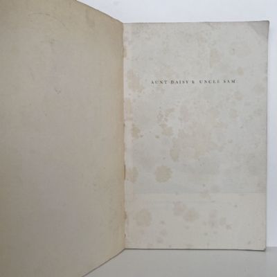 Aunt Daisy & Uncle Sam: Aunt Daisy's War-Time Journey to United States