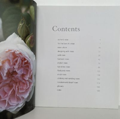 Mary Moody's Roses