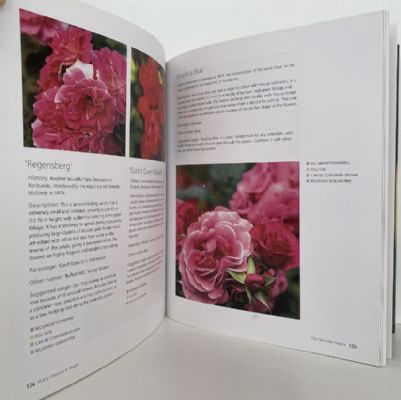 Mary Moody's Roses