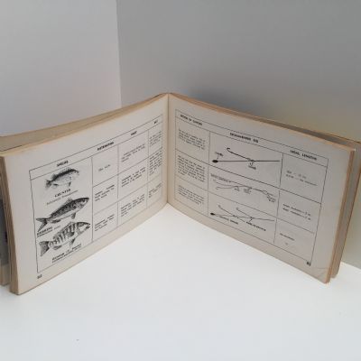 HOW TO CATCH A FISH