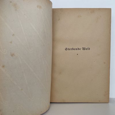 DYING WORLD: Twelve years of research in New Zealand