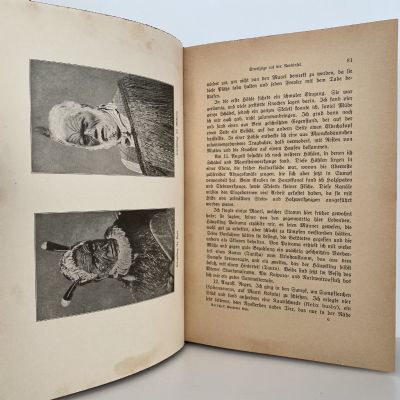 DYING WORLD: Twelve years of research in New Zealand