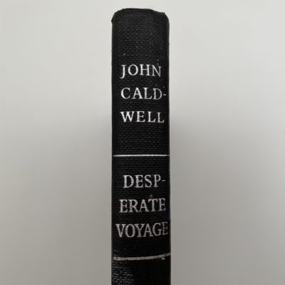 DESPERATE VOYAGE
