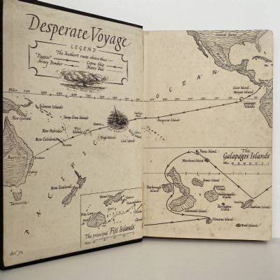 DESPERATE VOYAGE