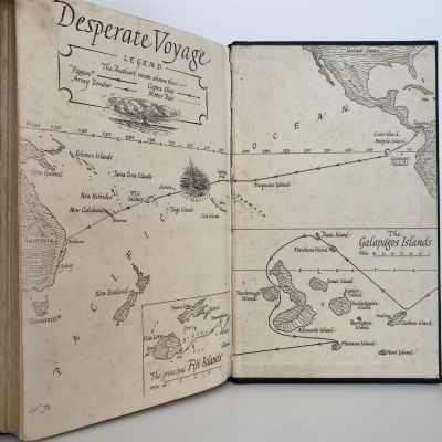DESPERATE VOYAGE