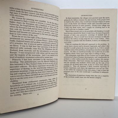 LAND OF DAHORI: Tales of New Guinea