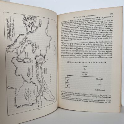 THE COURSE OF EMPIRE: The Arabs and their successors